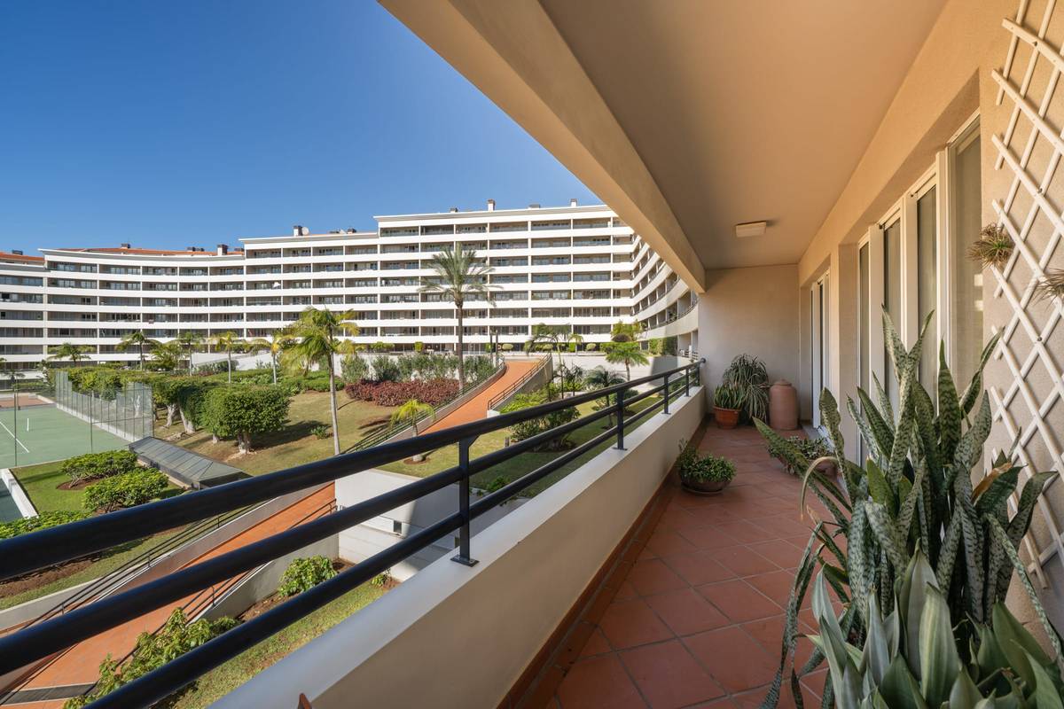 Camélia apartamentai II – su bendru baseinu 3